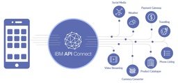connect api